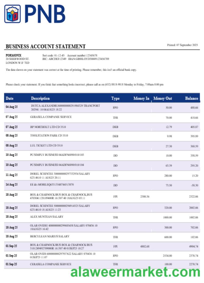 PNB bank business account statement Word and PDF template